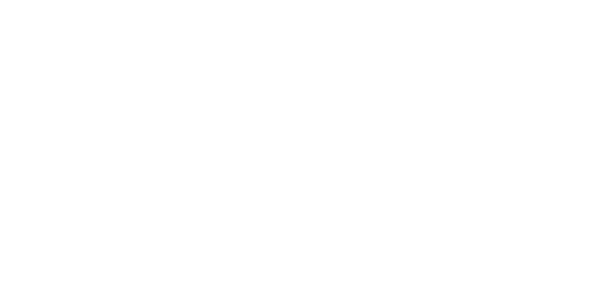 Voltigeur